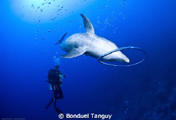 Tu prenais du plaisir
A faire des ronds dans l'eau... ;=) by Bonduel Tanguy 